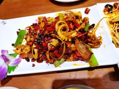 酱爆八爪鱼-福苗小骆驼烧烤(太奥广场店)