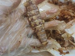 -覃记海鲜美食餐厅