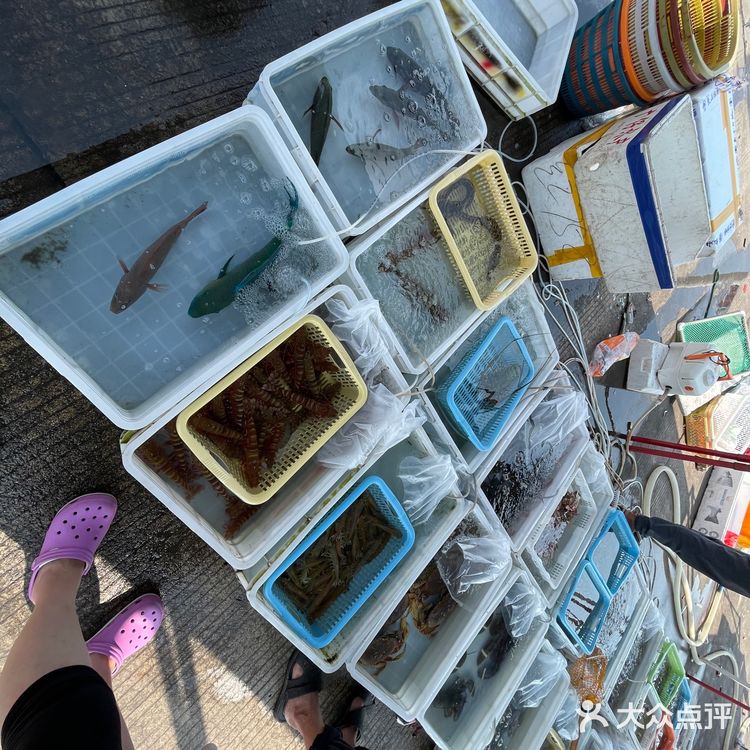 新村码头!海鲜买到爽,帮你避坑!