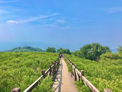 -阳台山自然风景区