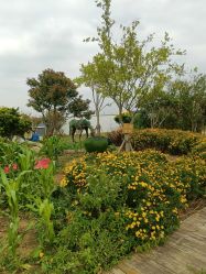 -小蜜蜂农场(凯德七宝购物广场店)