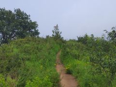 -阳台山自然风景区