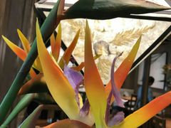 -云海肴云南菜·蒸汽石锅鱼(北京良乡华冠店)