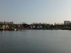 -上海长兴岛郊野公园