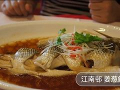 姜葱鲻鱼-江南村酒家
