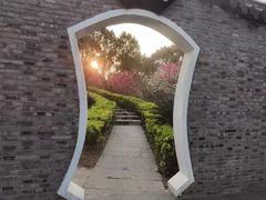-南汇桃花村
