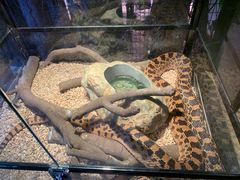-正佳雨林生态植物园