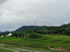 -艾米稻香小镇