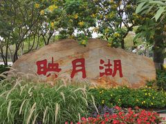 -映月湖公园