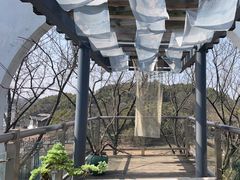 -天目湖山水园