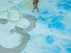 -汪说喵讲宠物乐园宠物酒店(红星美凯龙店)