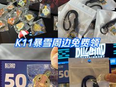-武汉光谷K11