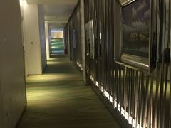 -深圳东部华侨城瀑布酒店