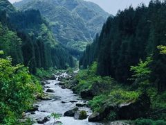 -瓦屋山景区