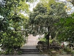 -鱼凫人家
