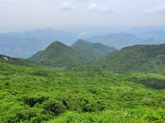 -东白山