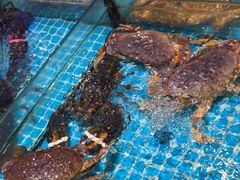 -梦都海鲜酒家(万达广场江桥店)