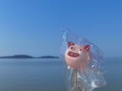 -苏州太湖国家湿地公园