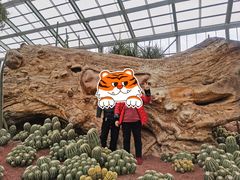 -南通洲际绿博园