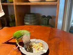 -自由生长植物工作室(深港花卉中心店)