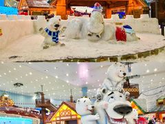 -广州热雪奇迹