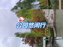 -青枫公园