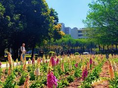 -华南师范大学(广州大学城校区)
