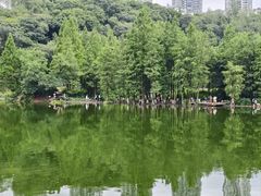 -重庆彩云湖湿地公园