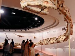 -自贡恐龙博物馆