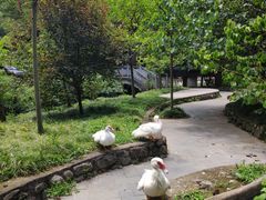 -车溪民俗旅游区