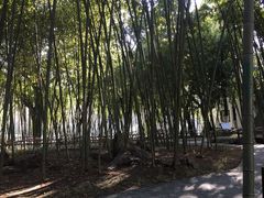 -包公祠