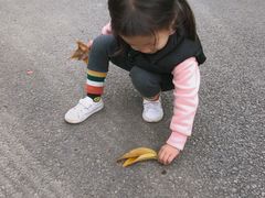 -八仙山公园