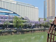 -成都市活水公园
