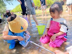 -永定河休闲森林公园
