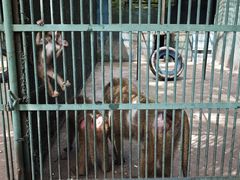 -秦皇岛野生动物园