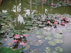 -中国科学院西双版纳热带植物园