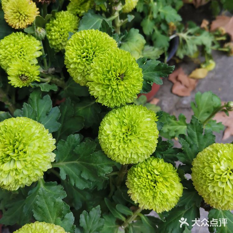 自己控制速度。一开始担心控制不好撞到别人