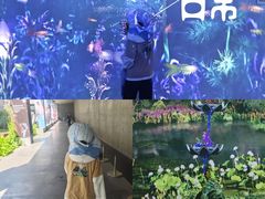 -中国湿地博物馆