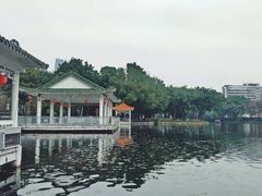 -荔湾湖公园