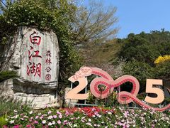 -广州白江湖森林公园