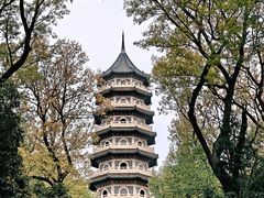 -灵谷景区