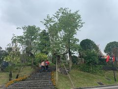 -枫香湖儿童公园