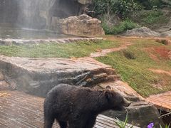 -海南热带野生动植物园