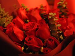 -InParty·游艇求婚策划生日派对布置(世纪大道店)