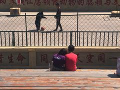 -东方熊牧场