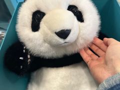 -熊猫屋(宽窄巷子景区店)