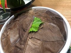 -尚海豆捞(乐虹坊店)