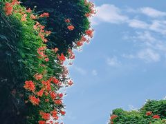 -老门东历史文化街区