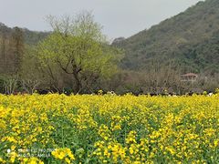 -八卦田遗址公园