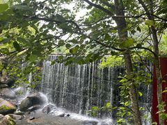 -汤旺河林海奇石景区
